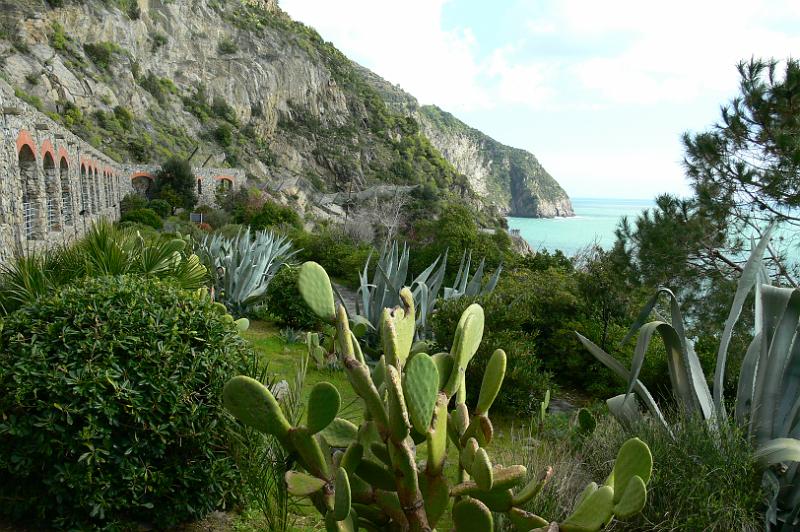 Manarola (27).JPG